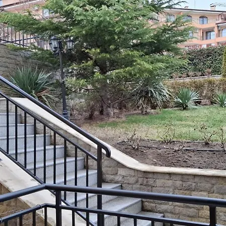 Star Dreams P2 سفيتي فلاس